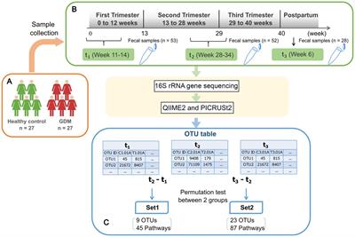 Gut microbiome interacts with pregnancy hormone metabolites in gestational diabetes mellitus